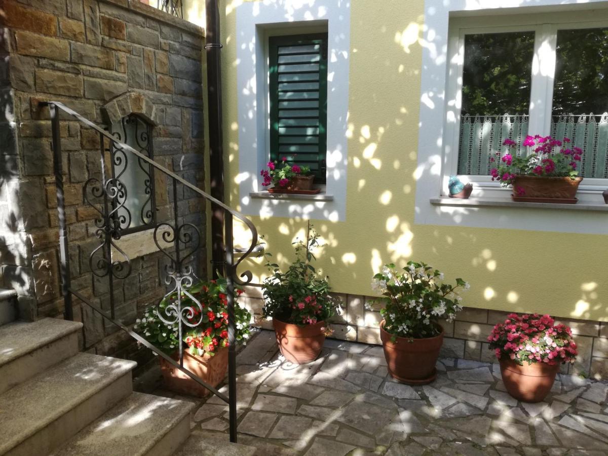 Guesthouse Leasol Lucija Bagian luar foto